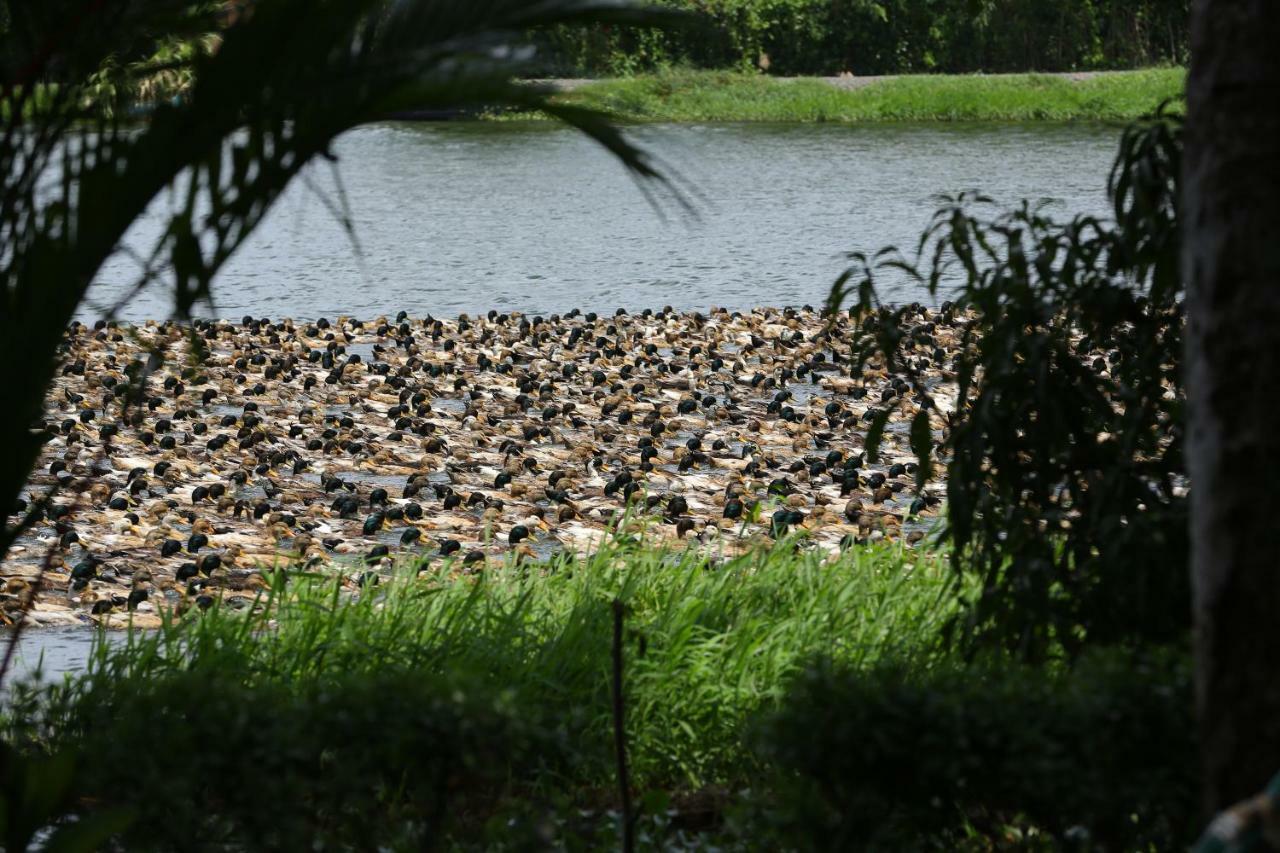 Green Palace Ayurveda Resort, Alleppey Alappuzha Exterior photo